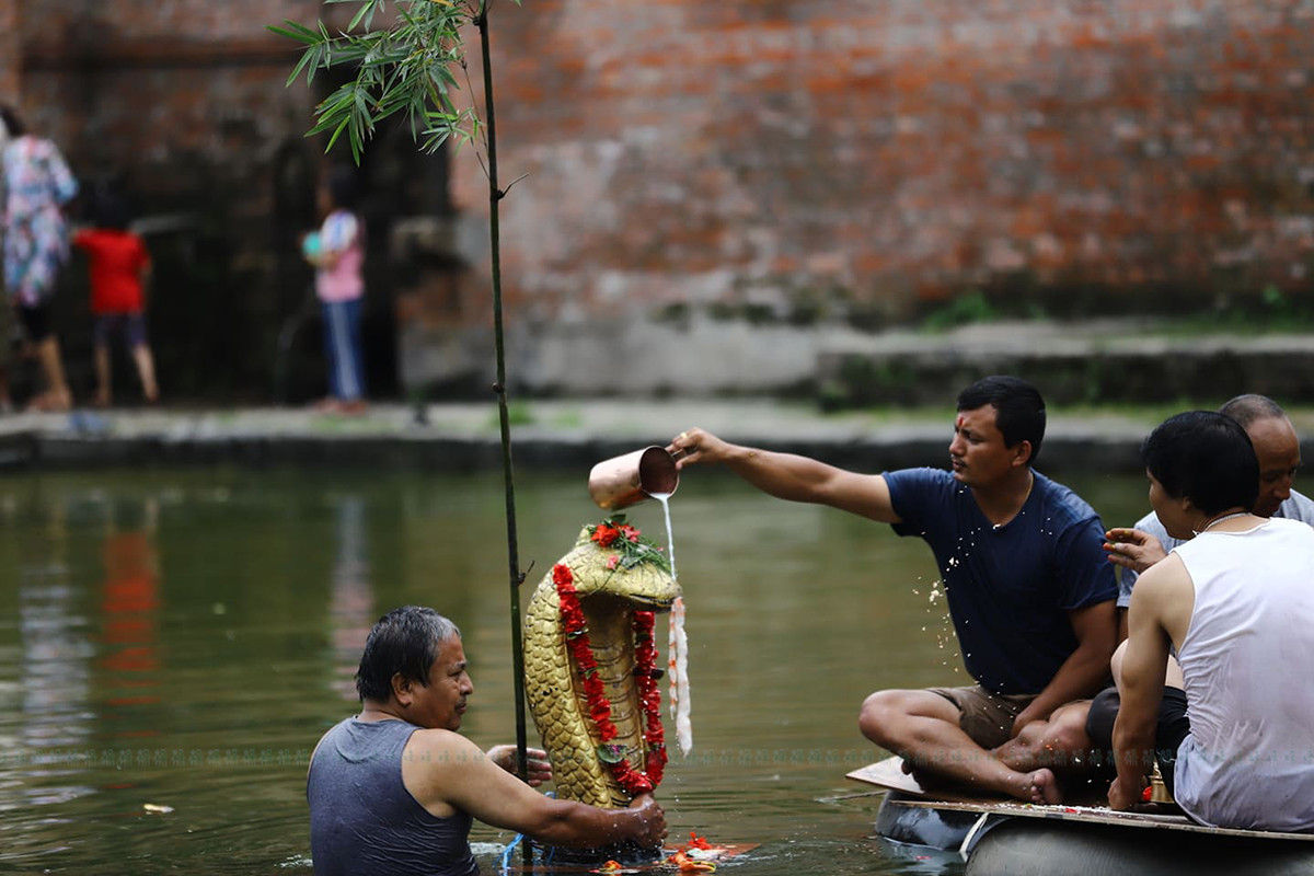 https://www.setopati.com/uploads/shares/2020/sujita/naaag panchami/naag (1).jpg